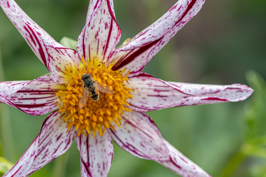 �1759502 �������(a): ����������:1920x1280